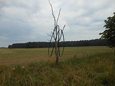 landart04